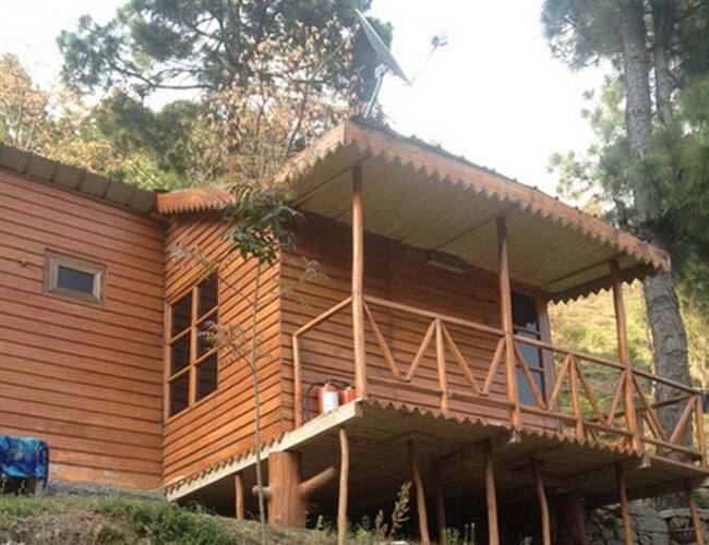 Hotel Kasauli Jungle Camp, Kasauli 5
